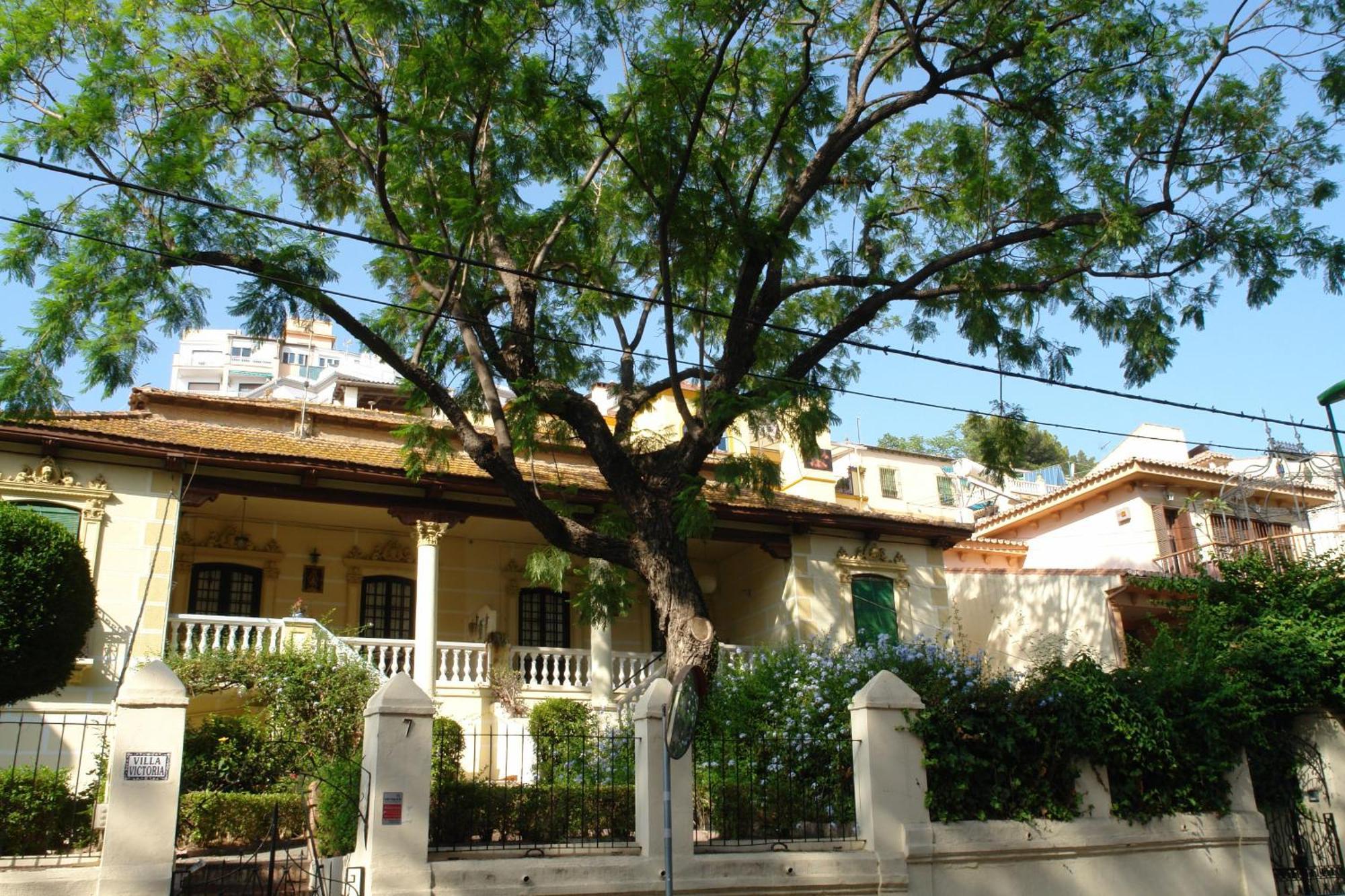 Tranquilo Y Centrico Apartamento 1 Dormitorio Màlaga Exteriér fotografie